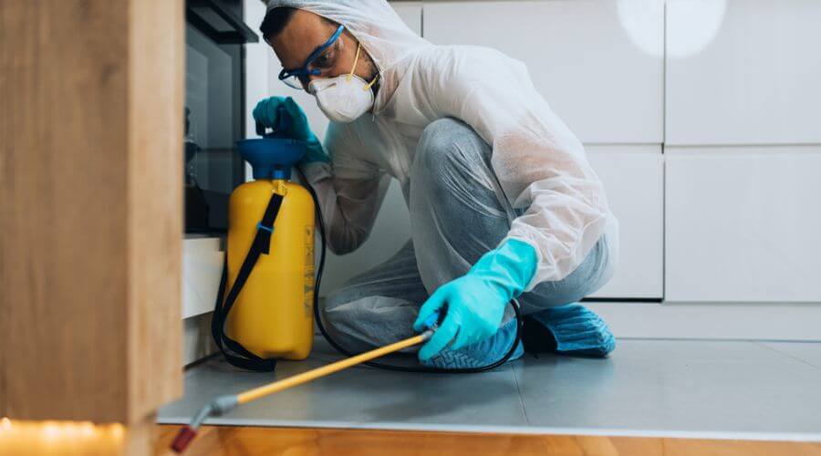 Professional monthly mosquito treatment plans services in Paradise Valley - Monthly Mosquito Treatment Plans Paradise Valley
