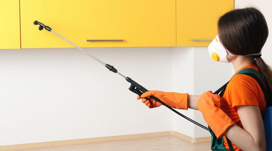Why choose Monthly Mosquito Treatment Plans Paradise Valley for monthly mosquito treatment plans in Paradise Valley